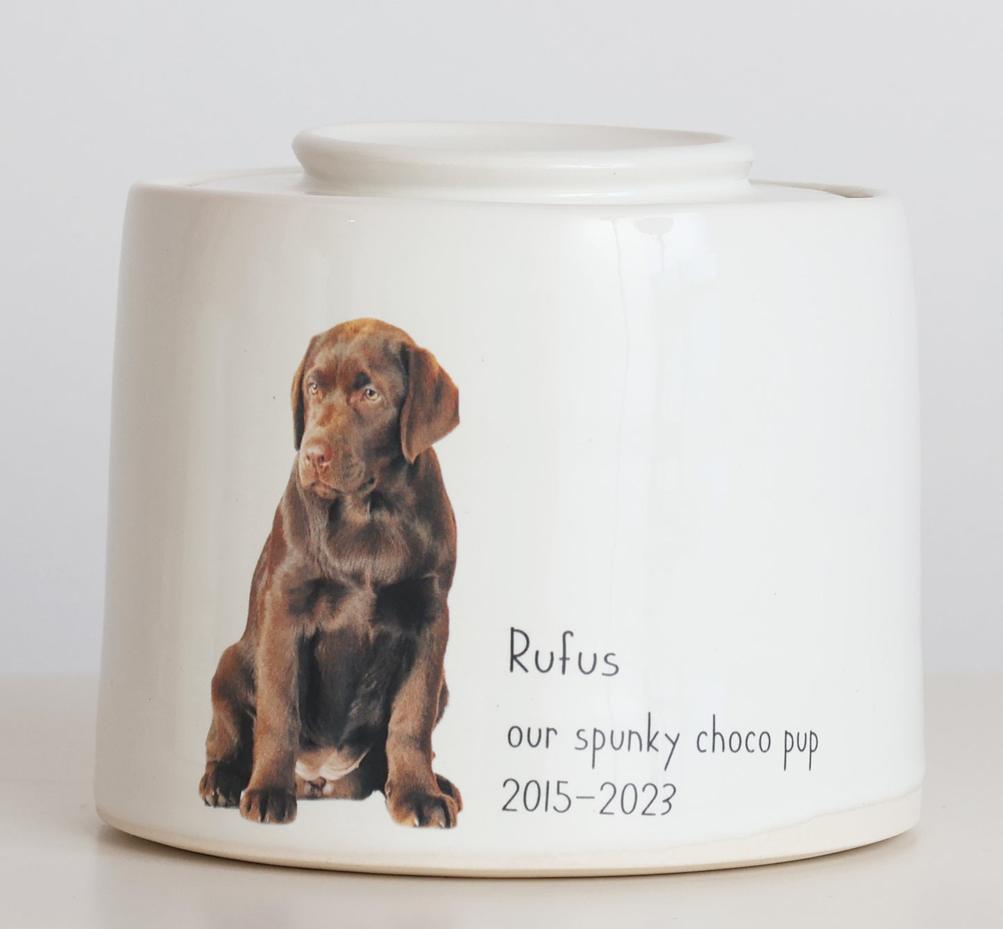 Large - Photo Pet Urn Fully Glazed