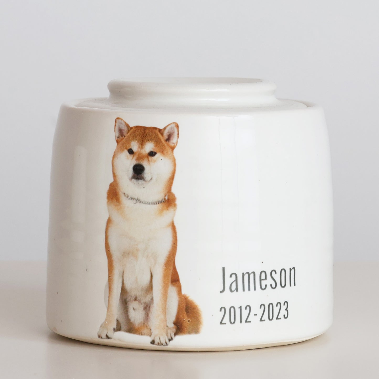 Medium - Photo Image Pet Urn Fully Glazed