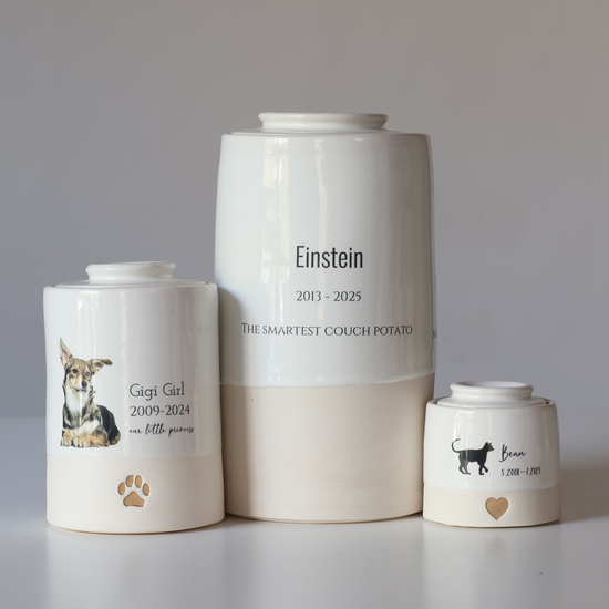 Three white urns with personalized inscriptions on a gray background