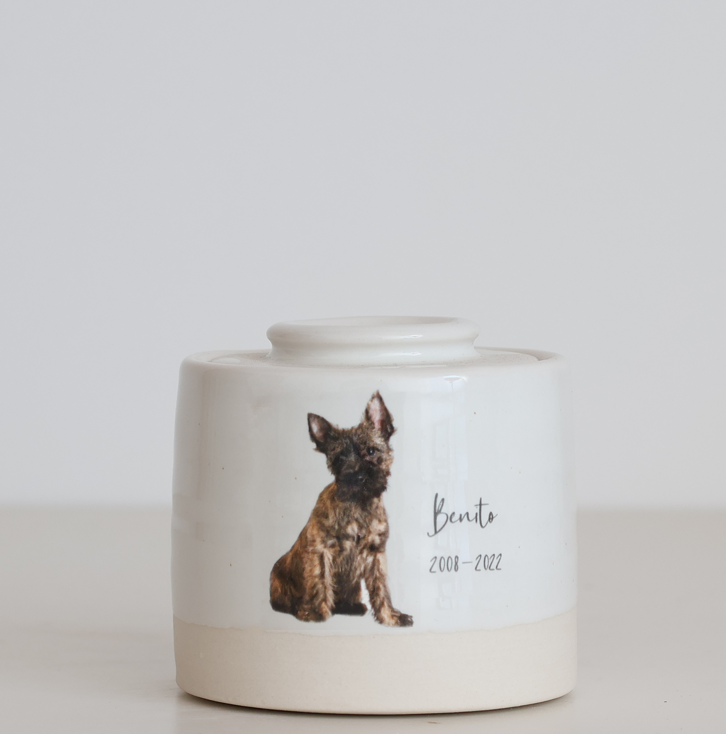 Small Size Urn. Pet Urn with Custom Photo