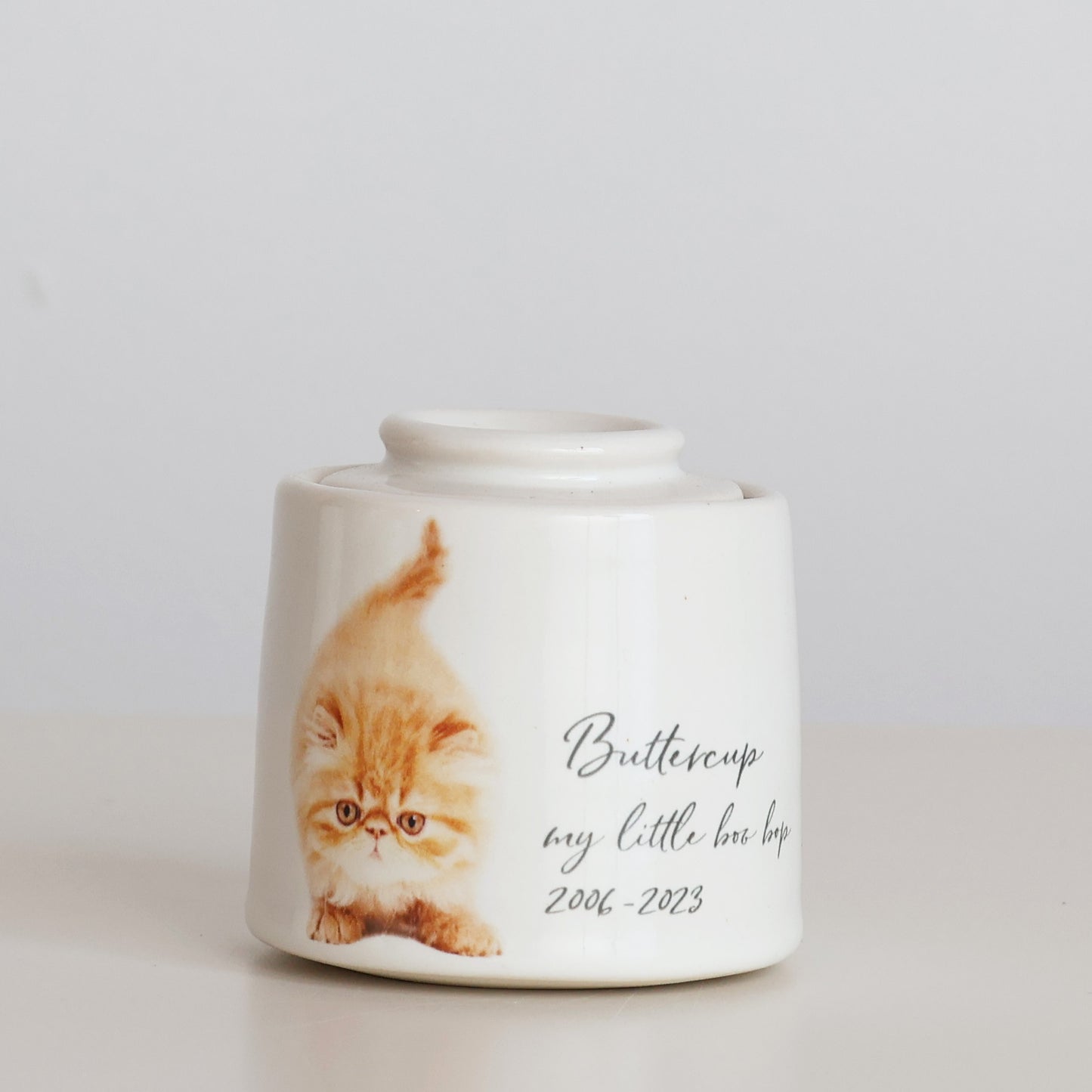 XS - Photo Pet Urn Fully Glazed