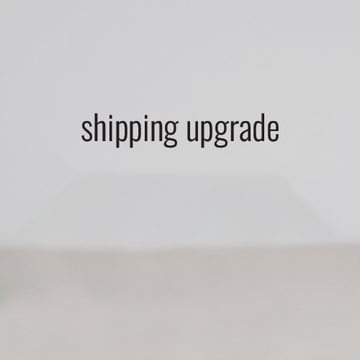 shipping upgrade - only use if we have talked first