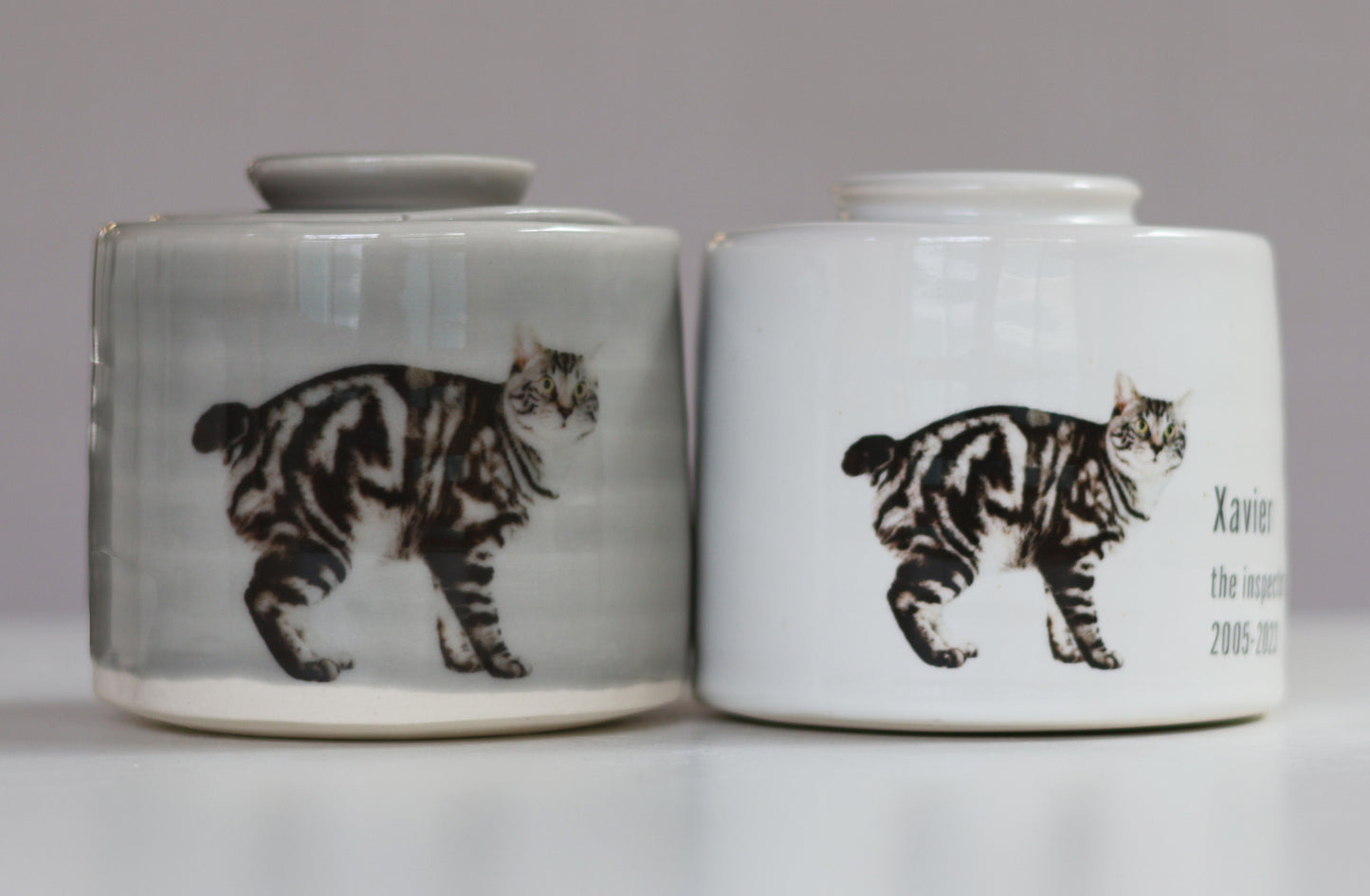 Small - Photo Pet Urn Fully Glazed